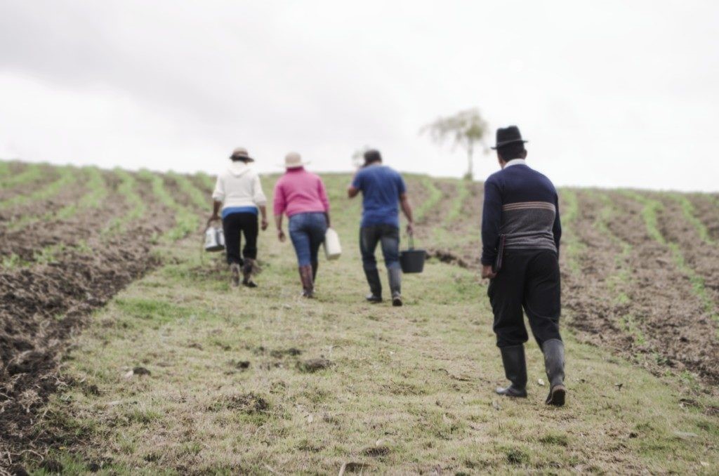 CONOZCA LAS CIFRAS MÁS IMPACTANTES DEL CAMPO COLOMBIANO