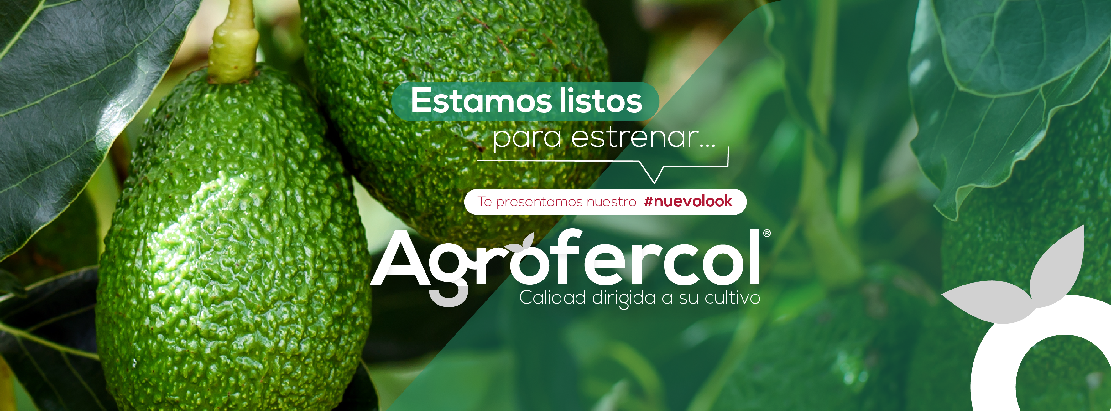 Nueva imagen de AGROFERCOL